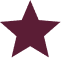 Star icon