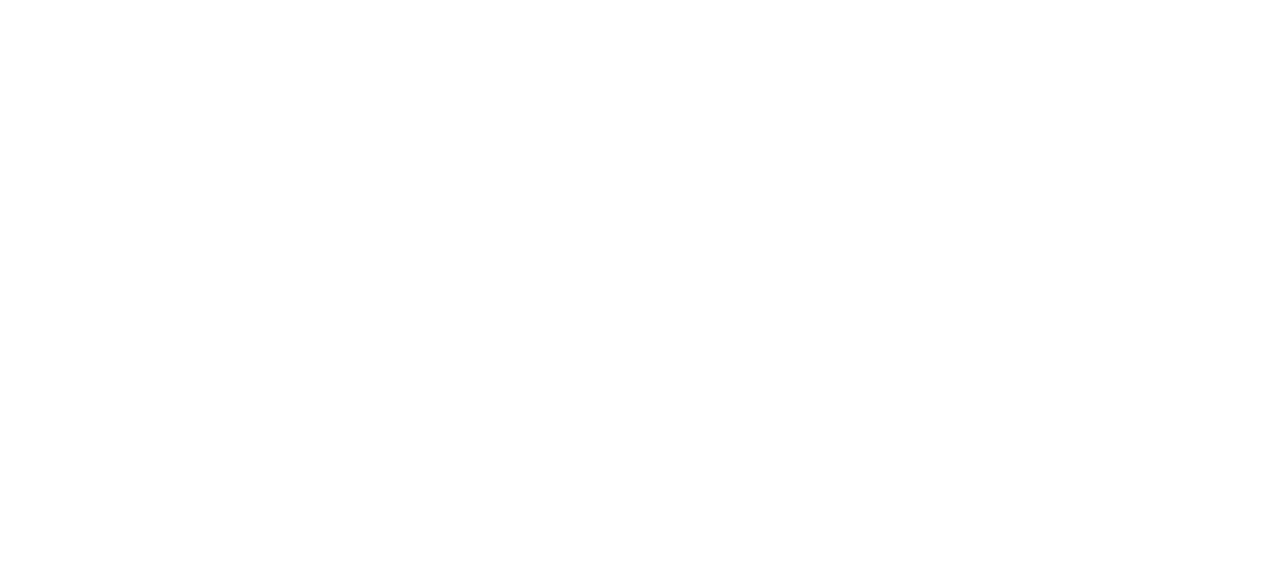 Bebedi Logo
